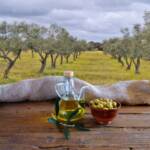 Tipologie di olive e di olio